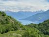 Lake Como Walking customer review photo 4