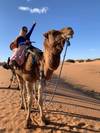 10 Days Morocco tour from Casablanca to Marrakech by Chefchaouen and Fez customer review photo 3