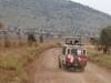 Photo d'avis client sur Serengeti, Ngorongoro, Tarangire avec les chutes d'eau de Materuni, visite du café - 6 jours 5