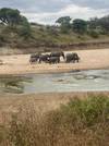 4 Days 3 Nights Tarangire ,Serengeti & Ngorongoro Lodge  Safari customer review photo 5