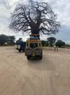 4 Days 3 Nights Tarangire ,Serengeti & Ngorongoro Lodge  Safari customer review photo 6