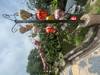 Photo d'avis client sur Introduction au Vietnam - 9 jours 3