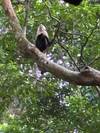 Photo d'avis client sur Les merveilles naturelles du Costa Rica 2