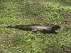 Photo d'avis client sur Les merveilles naturelles du Costa Rica 5