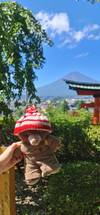 13-Day Japan Tour: Tokyo, Mount Fuji, Kyoto, Nara, Osaka & Beyond customer review photo 2