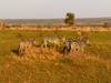 3 Days Serengeti & Ngorongoro Safari Tour from Zanzibar customer review photo 4