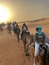 Photo d'avis client sur Circuit dans le désert de Fès à Marrakech en passant par le désert - 3 jours/2 nuits 1