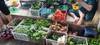 Photo d'avis client sur Cours de cuisine en petit groupe avec visite du marché : Cueillette gratuite, livre de recettes, vin à volonté et bien plus encore ! 4