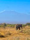 6 Days Kenya Budget Tours (with Free Night at Nairobi Hotel) customer review photo 1