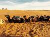 Merzouga Gorges & Deserts Adventure 3D/2N (Marrakech to Marrakech) customer review photo 1