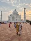 Taj Mahal and Wildlife with Royal Stay at Castles customer review photo 2
