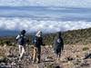 LEMOSHO ROUTE 8 DAYS MOUNT KILIMANJARO CLIMBING customer review photo 2