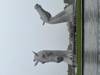 Photo d'avis client sur Île de Skye, Loch Ness et Inverness 4