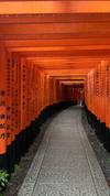 Photo d'avis client sur Japon classique 14 jours - One Life Adventures 2