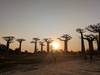 Photo d'avis client sur Safari au Baobab 1