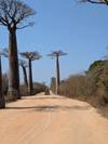 Photo d'avis client sur Safari au Baobab 4