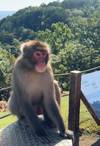 Photo d'avis client sur Japon classique 14 jours - One Life Adventures 2