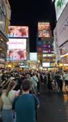 Photo d'avis client sur Japon classique 14 jours - One Life Adventures 3