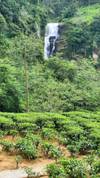 Photo d'avis client sur Découvrez la beauté du Sri Lanka 6