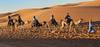Private 7-Day & Luxury Desert Camp & Morocco Tour From Casablanca customer review photo 1