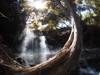 New Zealand: Best of the North Island customer review photo 2