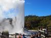 New Zealand: Best of the North Island customer review photo 1