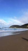 Great Ocean Road and Rainforest Walk 1 DAY customer review photo 2