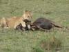 Photo d'avis client sur Kenya et Tanzanie, le volet 3