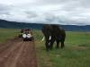 Photo d'avis client sur Route vers Zanzibar (from Nairobi to Zanzibar) 2