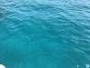 Photo d'avis client sur Aventure de voile en Sardaigne et en Corse 6