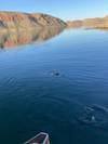 Photo d'avis client sur De Darwin à Broome Outback 1