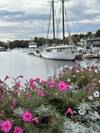 Photo d'avis client sur Couleurs d'automne de la Nouvelle-Angleterre 3