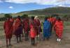 Kenya Round Trip Safari customer review photo 4