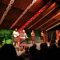 Northern Light from Auckland - Top rated by National Geographic traveler photo #2