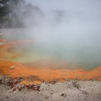 Northern Light from Auckland - Top rated by National Geographic traveler photo #1