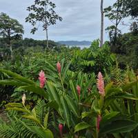 Costa Rica compacto - vida salvaje y paraíso tropical: foto del viajero #3