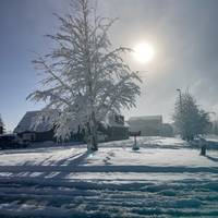 Photo de voyageur Exploration de Grand Teton et Yellowstone - 8 jours #1