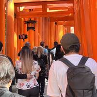 Central Japan End Kyoto (4 destinations) traveler photo #1