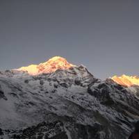 Excursión al campamento base del Annapurna por Poon Hill: foto del viajero #2