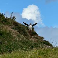 Rondreis in IJsland - 8 dagen: foto van de reiziger #3