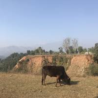 Photo de voyageur Trek Ganga Jamuna - 9 jours #3