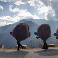 Bhutan In-depth Culture & Nature Tour traveler photo #1