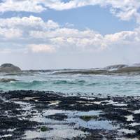 Famous 5 - 5 day Tour of Tasmania traveler photo #1