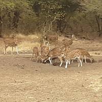 Photo de voyageur Pour l