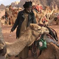 A Week in Jordan traveler photo #3