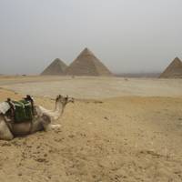 Photo de voyageur 8 jours Nile Jewel (hôtels 4/5 étoiles) avec visite du musée GEM #1