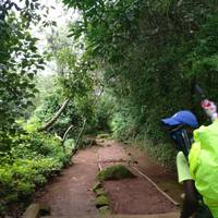 Kilimandscharo Marangu Route - 5 Tage Reise-Foto #3