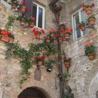 Carreteras rurales de Toscana e Italia central (Clásico): foto del viajero #3