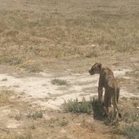 Zuidelijk Afrika Kaap naar watervallen - 20 dagen: foto van de reiziger #3