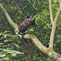 Photo de voyageur 3 jours de visite des chutes d